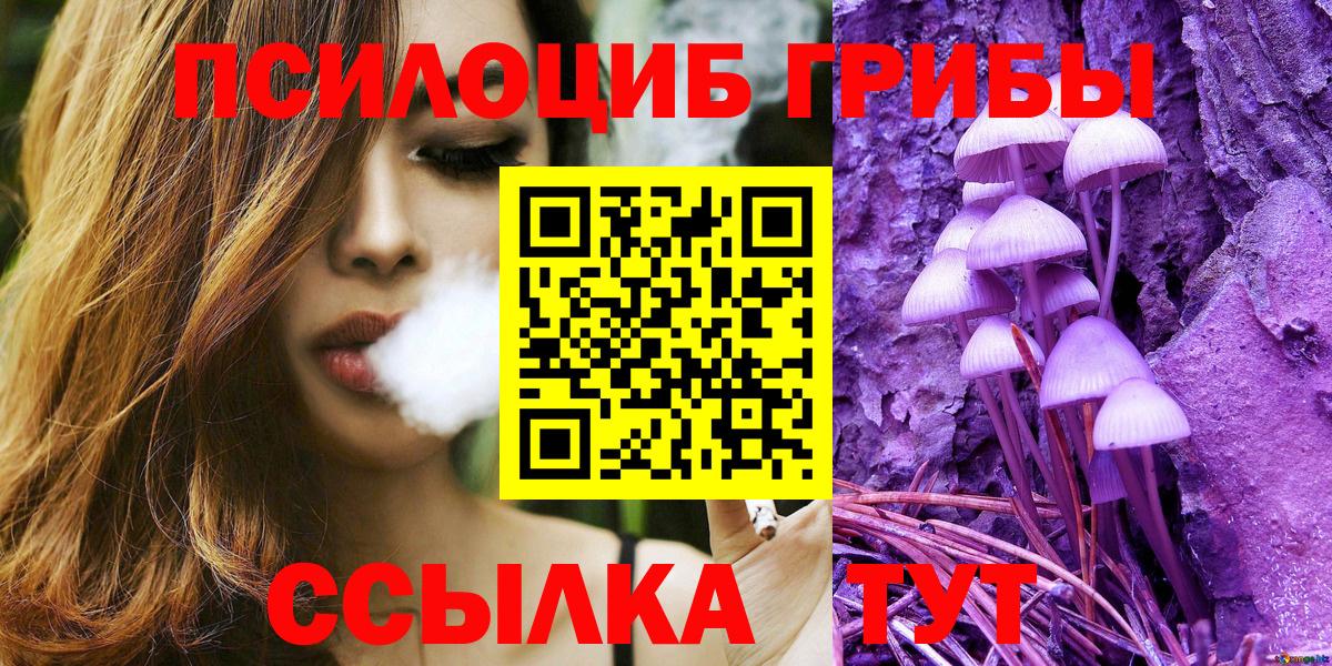 Орёл  Галлюциногенные грибы MAGIC MUSHROOMS  Вход с VPN 